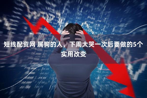 短线配资网 属狗的人,下周大哭一次后要做的5个实用改变