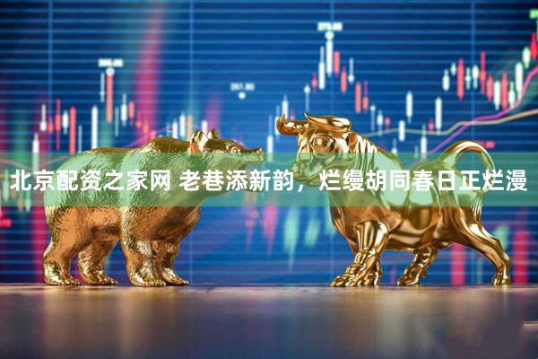 北京配资之家网 老巷添新韵，烂缦胡同春日正烂漫