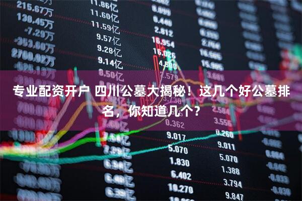 专业配资开户 四川公墓大揭秘！这几个好公墓排名，你知道几个？